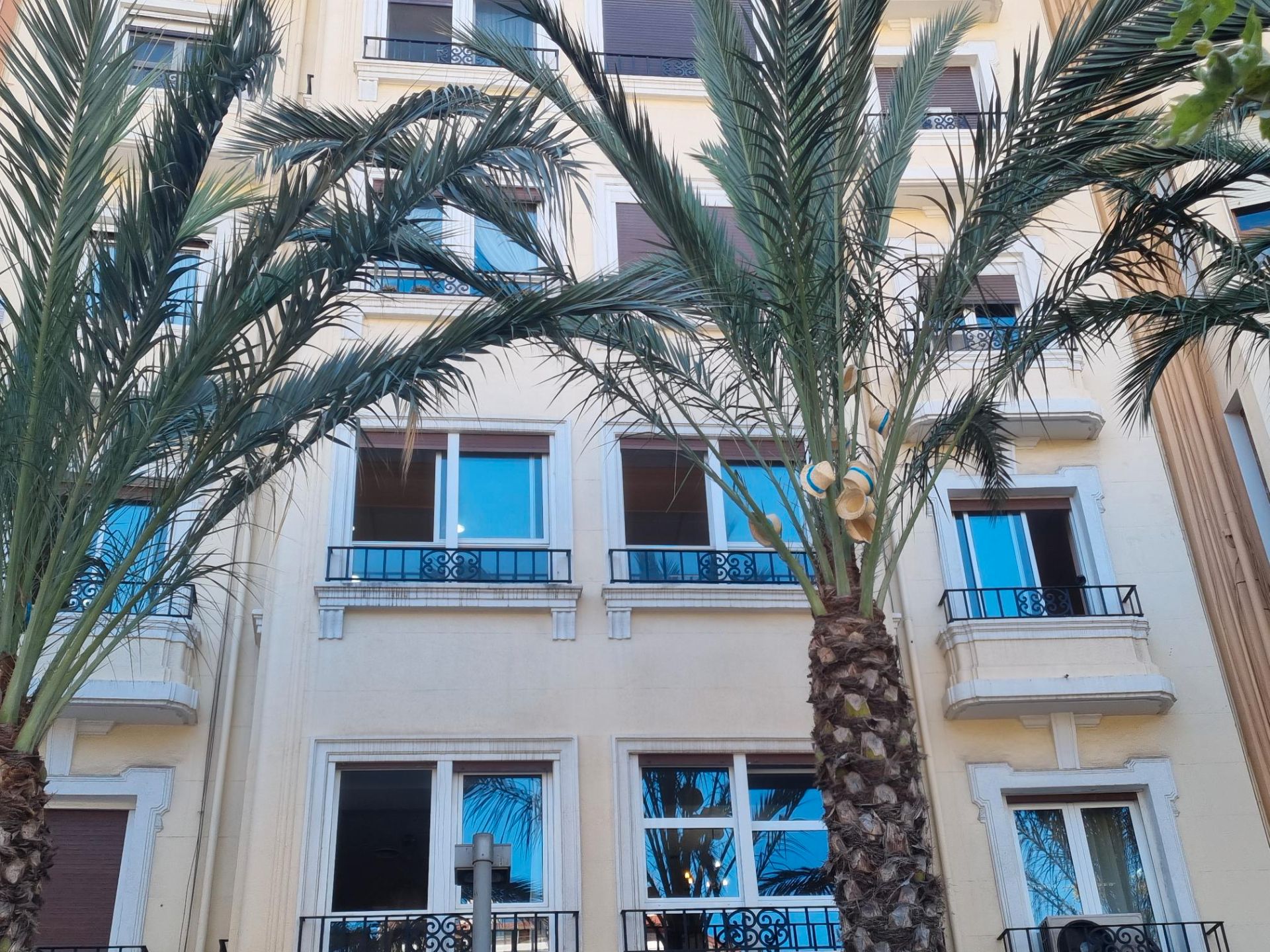 Vista exterior de Pis en venda en Alicante / Alacant amb Balcó