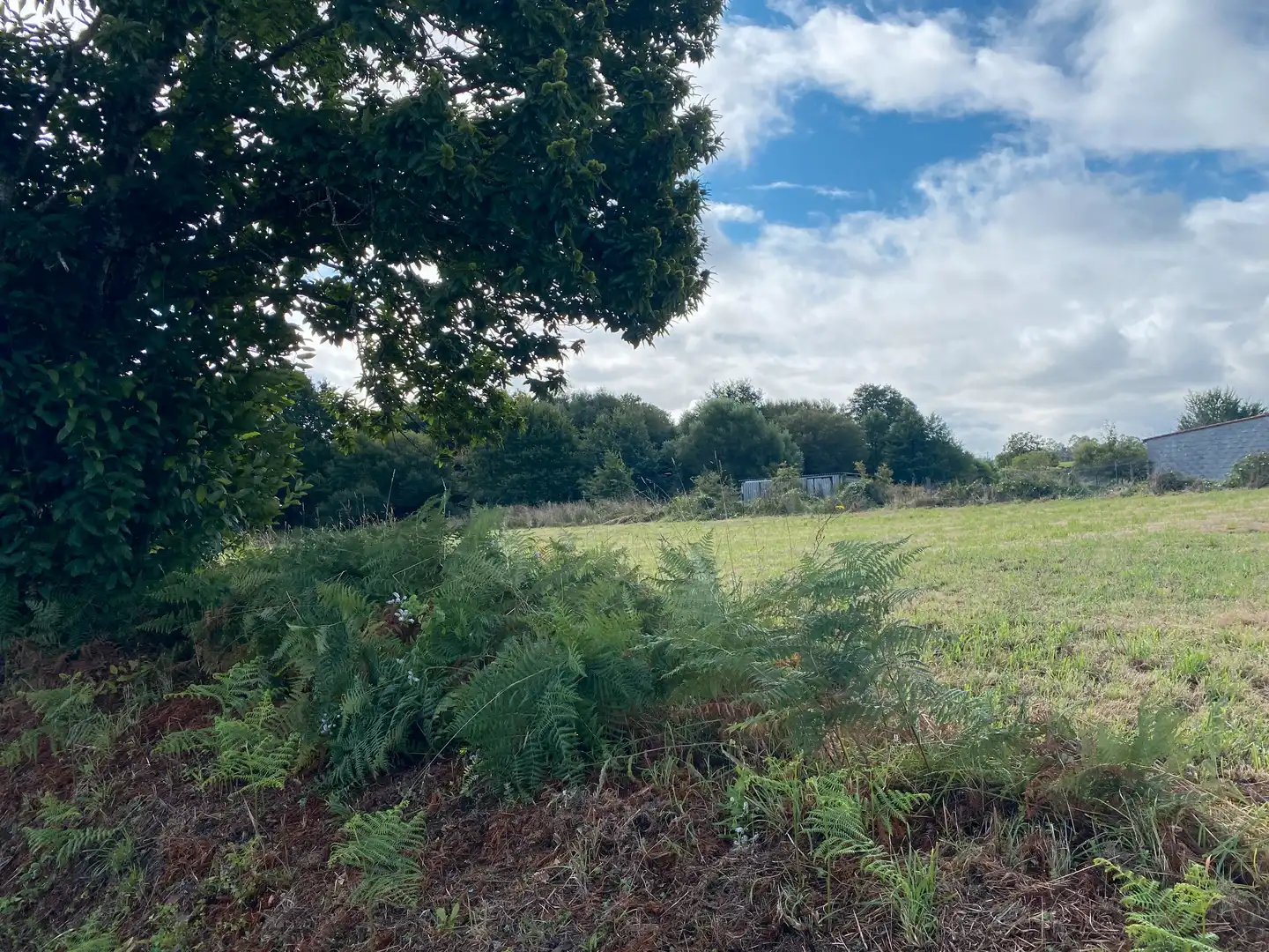 Terrains et parcelles à vendre à Teo, imagen 9