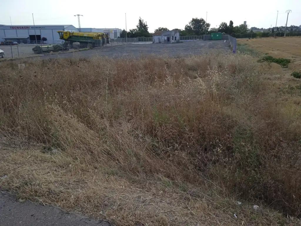 Terrain rustique à vendre à Don Benito, imagen 5