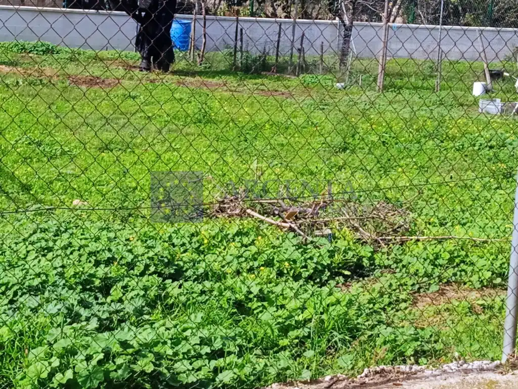 Terreni e lotti in vendita a Calle Gabriel Y Galan, imagen 2