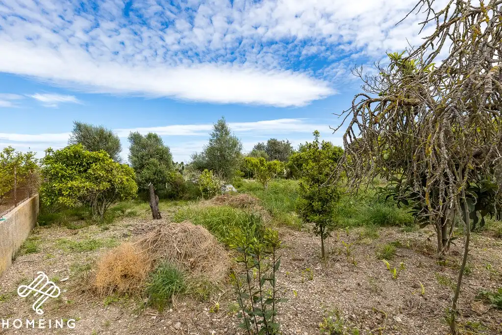 Country homes for sale in Costitx  with Private garden and Terrace