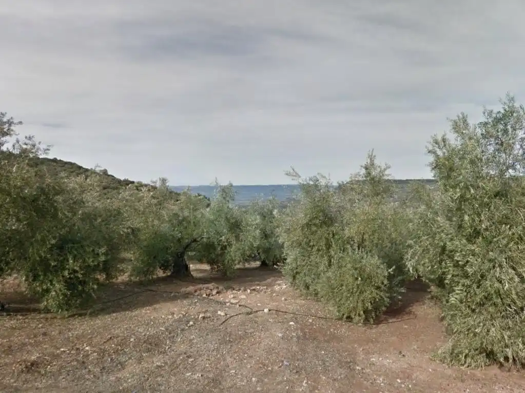 Lands and plots for sale in DISEMINADO PEGALAJAR, imagen 3