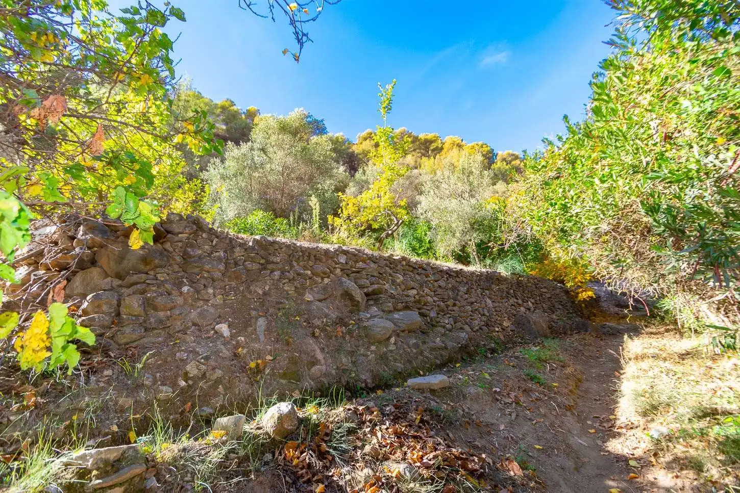 Terreny rústic en venda a Canillas de Albaida, imagen 3