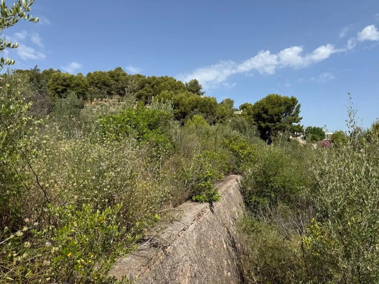 Terreny rústic en venda a La Vilavella
