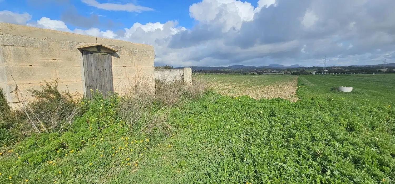 Maison rustique à vendre à Manacor Centre, imagen 2