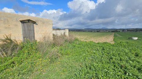 Foto 2 de Finca rústica en venta en Manacor Centre, Manacor