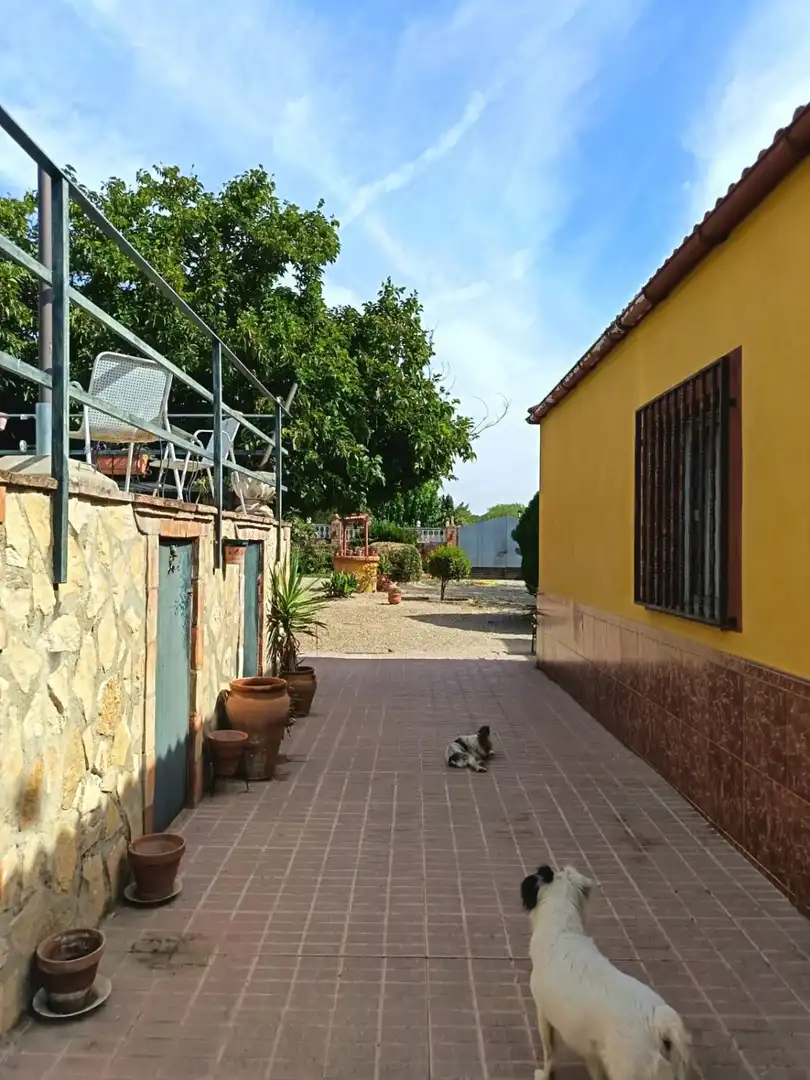 Casa amb piscina en venda a Centro ciudad, imagen 4