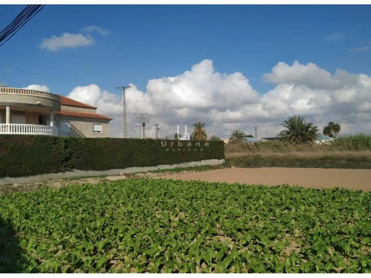 Terreny residencial en venda a Pedanías Este, imagen 6