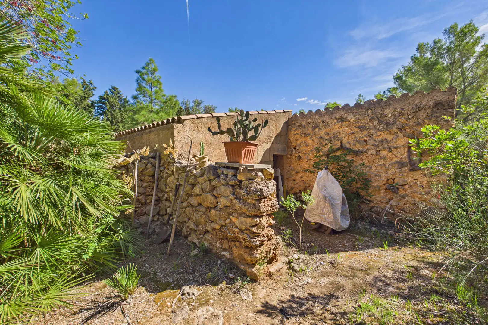 Jardín de Finca rústica en venta en Cala Ratjada