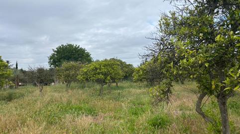 Photo 3 of Residential for sale in El Retiro - La Vid, Jerez de la Frontera