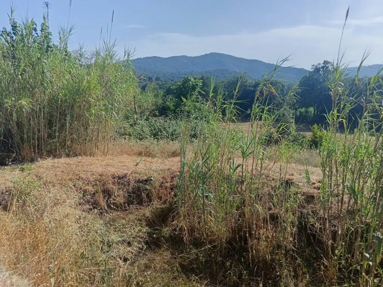 Maison avec jardin à vendre à Tordera pueblo, imagen 31
