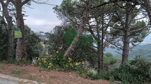 TERRENO EDIFICABLE DE 1.405 M EN SERRA BRAVA  LLORET DE MAR