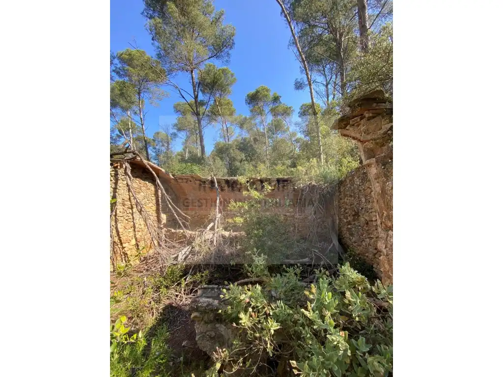 Land for sale in Pals