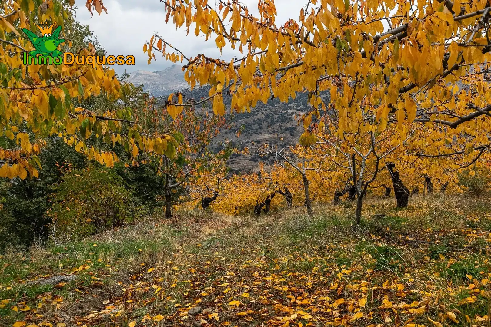 Casa rústica en venda a Güéjar Sierra, imagen 16
