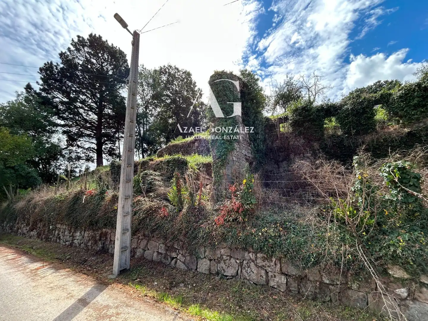 Terreni e lotti in vendita a Alceda, imagen 4