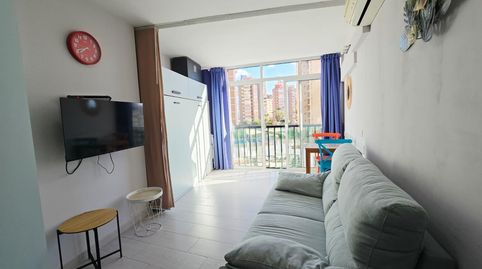 Foto 4 de Estudio en venta en Juzgados - Plaza de Toros, Benidorm