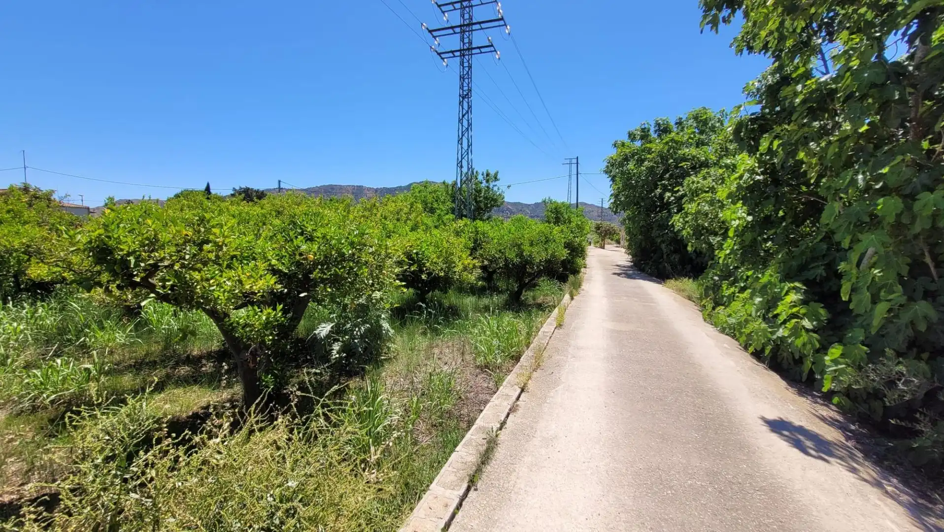 Terreno en venta en Murcia