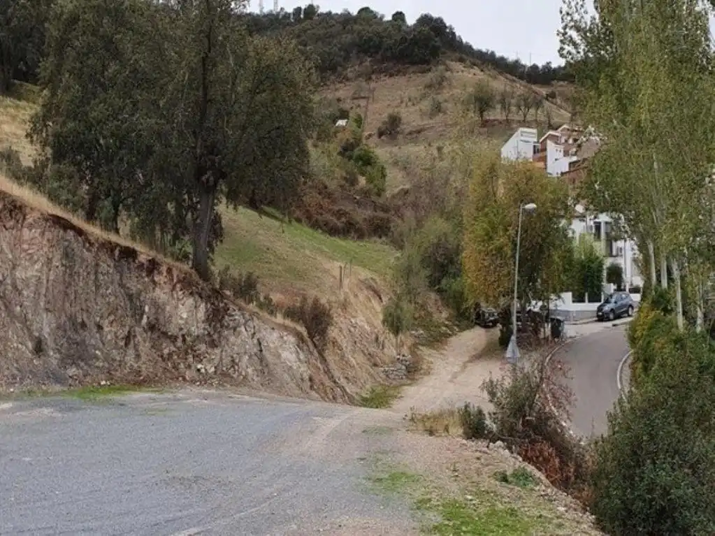 Terreny rústic en venda a VILLANUEVA DE CORDOBA, imagen 6