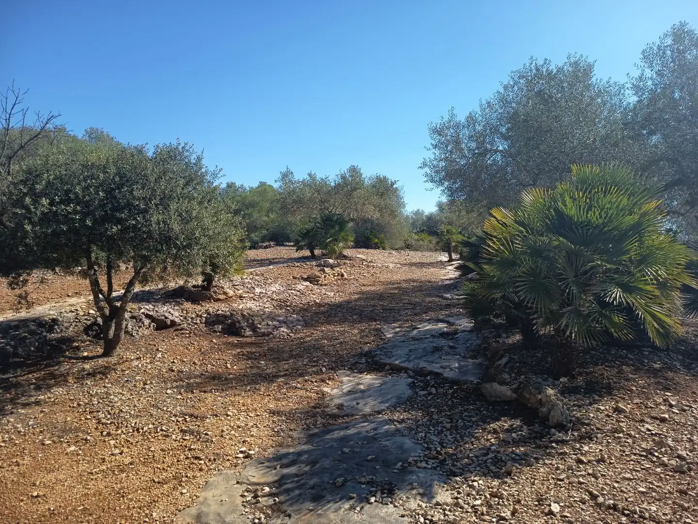 Villa avec terrasse à vendre à EL PUIG, imagen 111