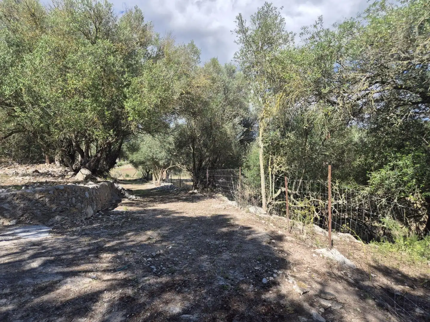 Casa rústica con jardín en venta en Sineu, imagen 46