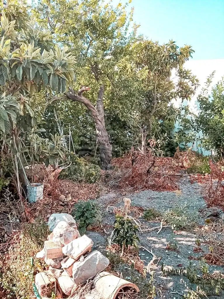 Jardí de Casa o xalet en venda en El Burgo amb Jardí privat i Terrassa