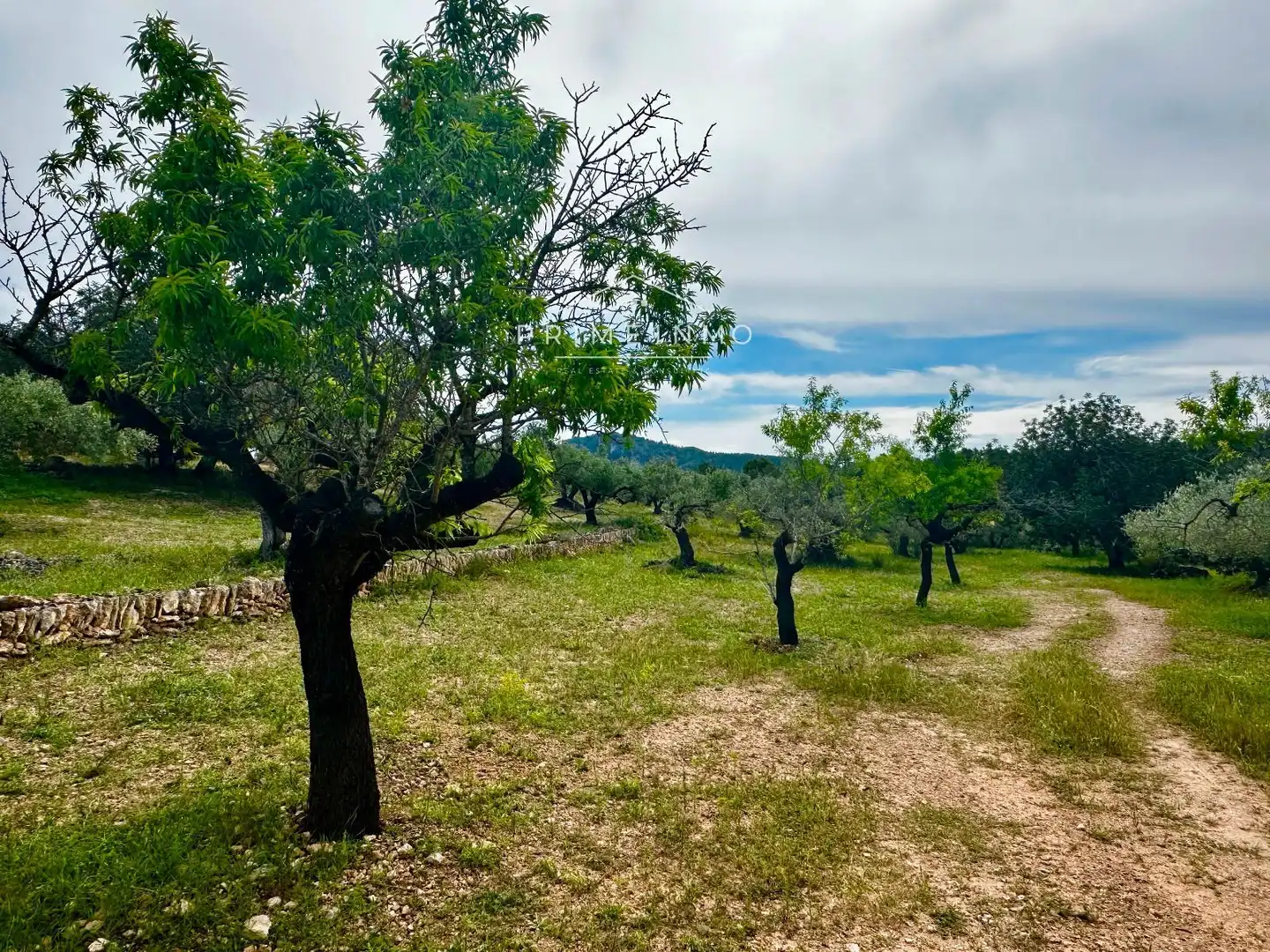 Terreno rústico en venta en Tivissa, imagen 7