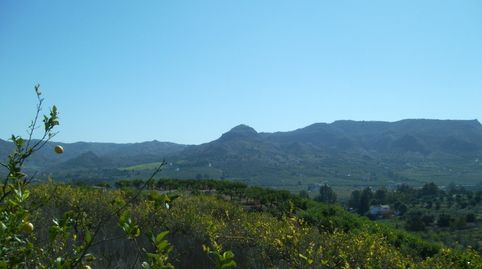 FINCA PARCELA EN VENTA EN ALORA, immagine 2