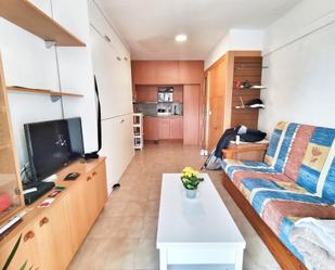 Living room of Study for sale in Tossa de Mar  with Terrace, Swimming Pool and Balcony