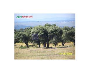 Finca rústica en venda en Aldea del Cano