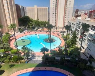 Swimming pool of Flat to rent in Benidorm