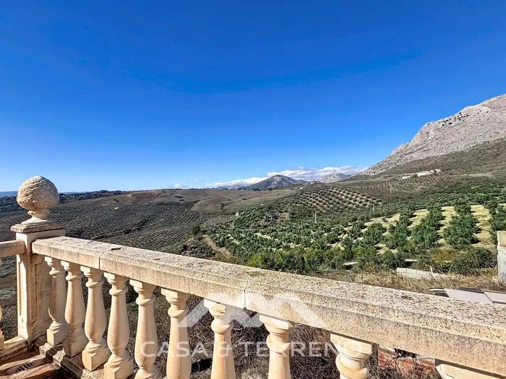 Vista exterior de Casa o chalet en venta en Periana con Jardín privado, Terraza y Lavadora