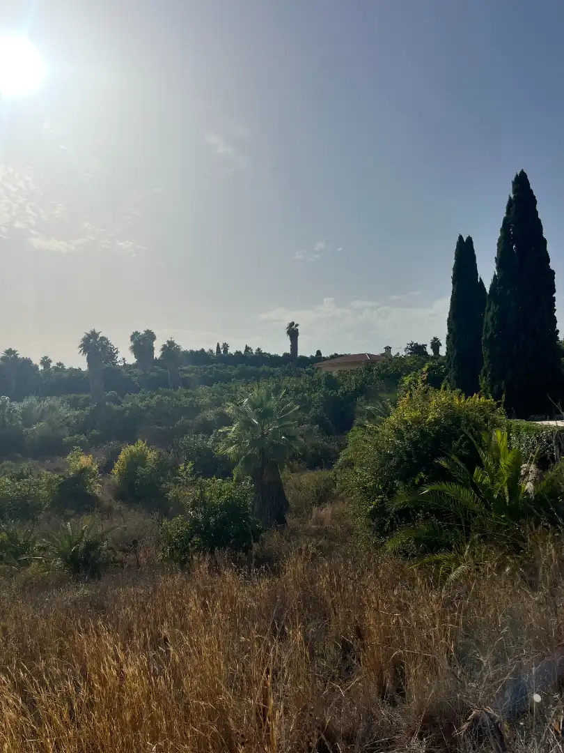 Residential land for sale in Calle Estornino 45, imagen 4