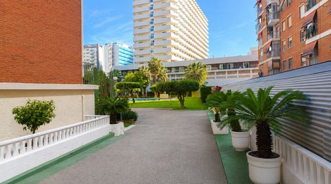 Foto 5 de Piso en venta en Juzgados - Plaza de Toros, Benidorm
