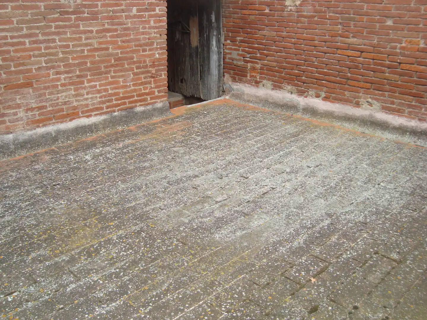 Gewerbefläche zum Verkauf in Sant Antoni de Vilamajor, imagen 4