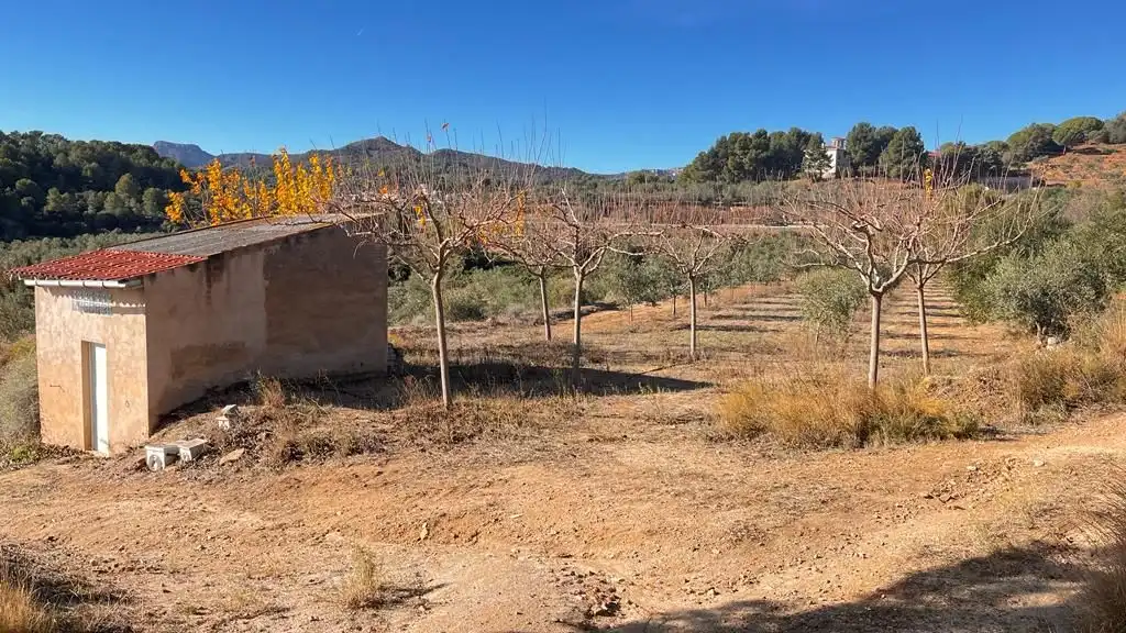 Terreny rústic en venda a Carrer del Dimecres, imagen 17