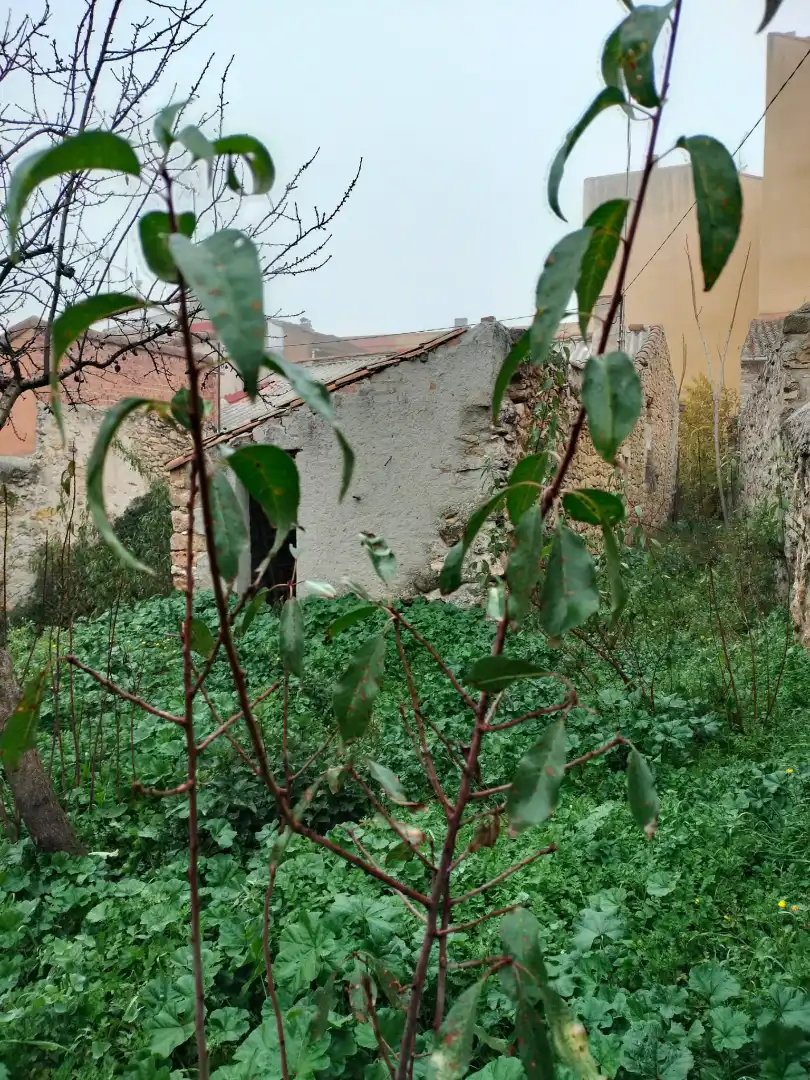 House with garden for sale in El Molar (Madrid), imagen 5