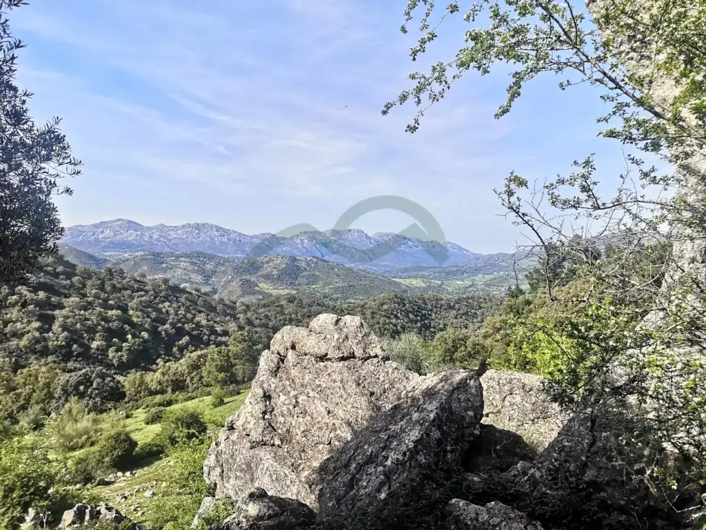 Casa rústica en venda a Gaucín, imagen 27