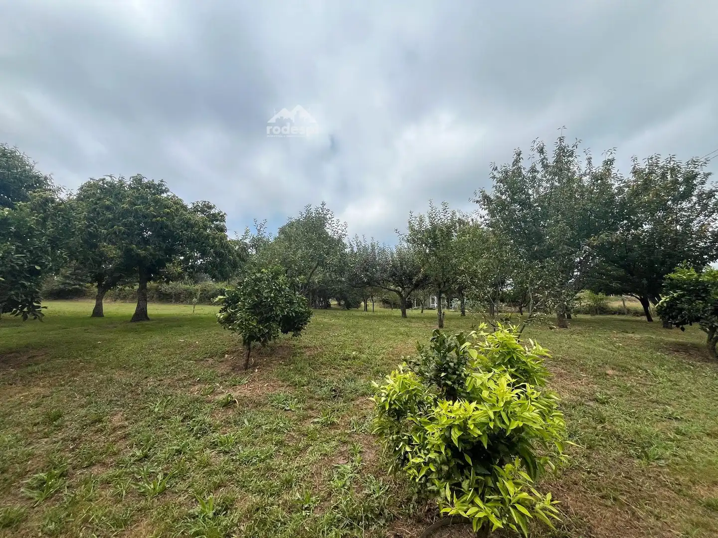 Rural land for sale in Covelo, imagen 19