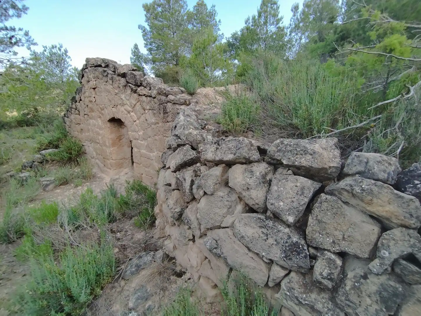 Vista exterior de Casa o xalet en venda en Cervià de Les Garrigues amb Traster