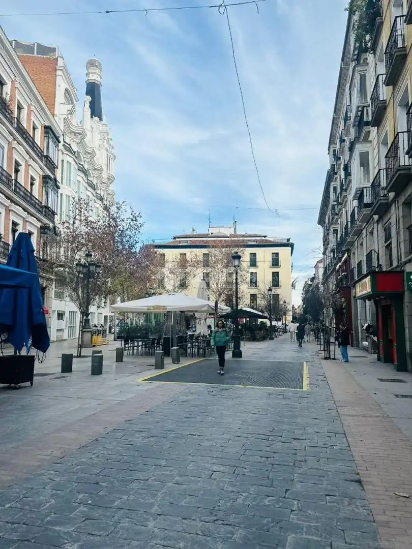Individual with lift for sale in Centro, imagen 14