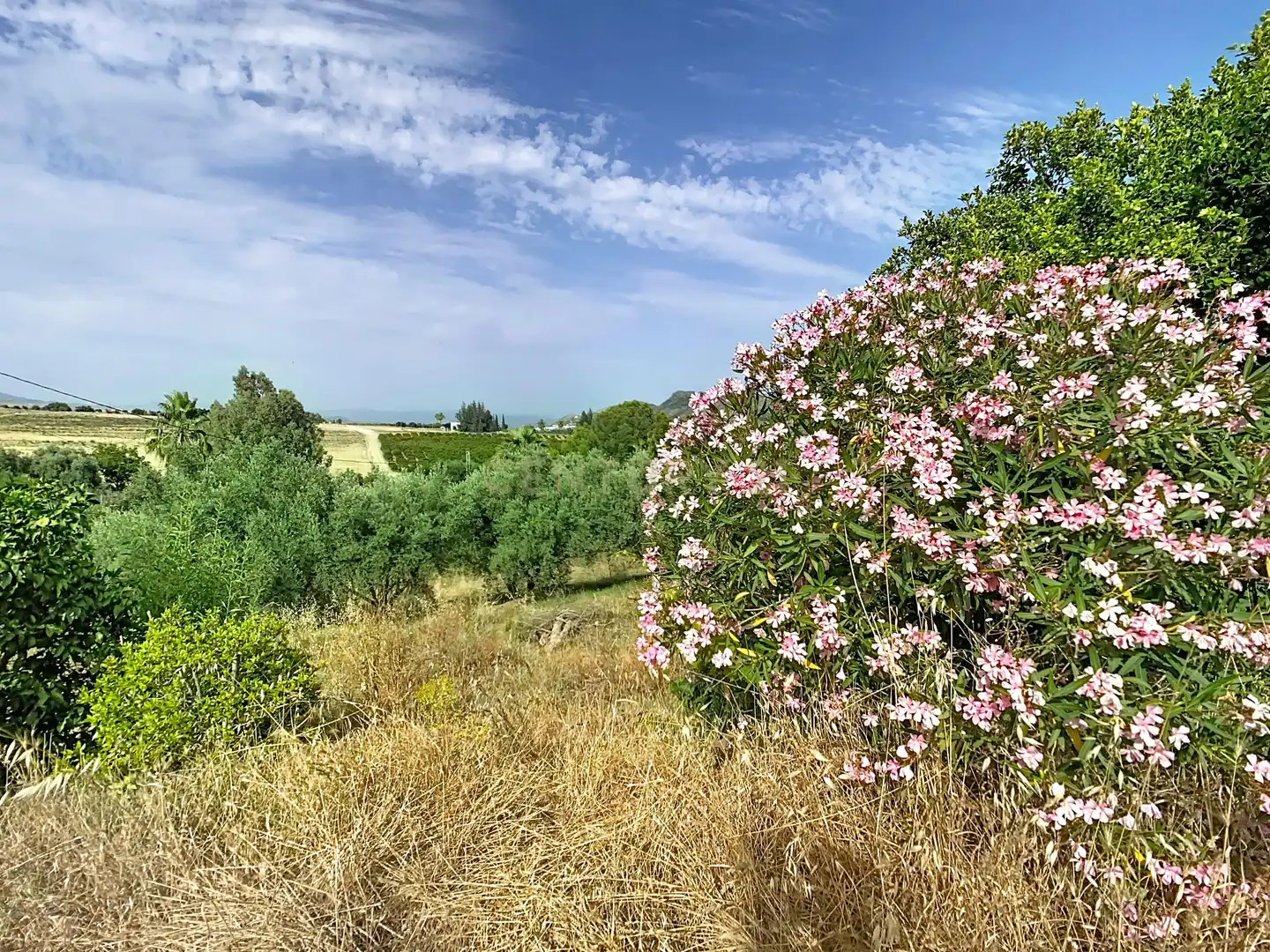 Finca rústica en venta en Alhaurín El Grande con Aire acondicionado, Jardín privado y Trastero