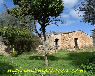 Garden of Country house for sale in Santa Margalida