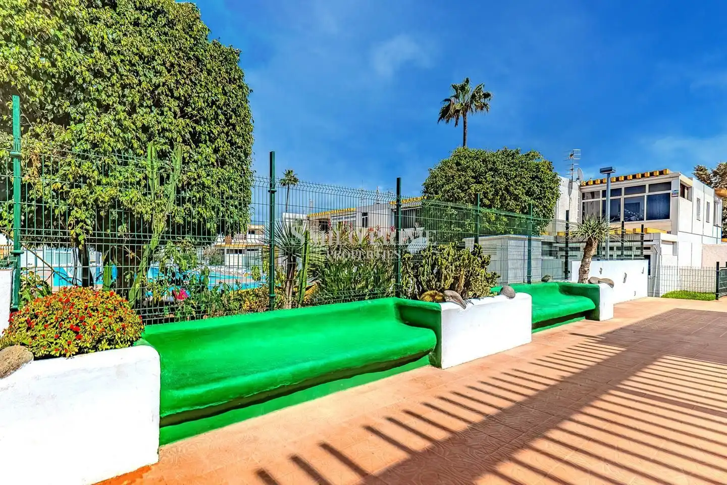 Bajo con piscina en venta en Calle Hercules, imagen 12