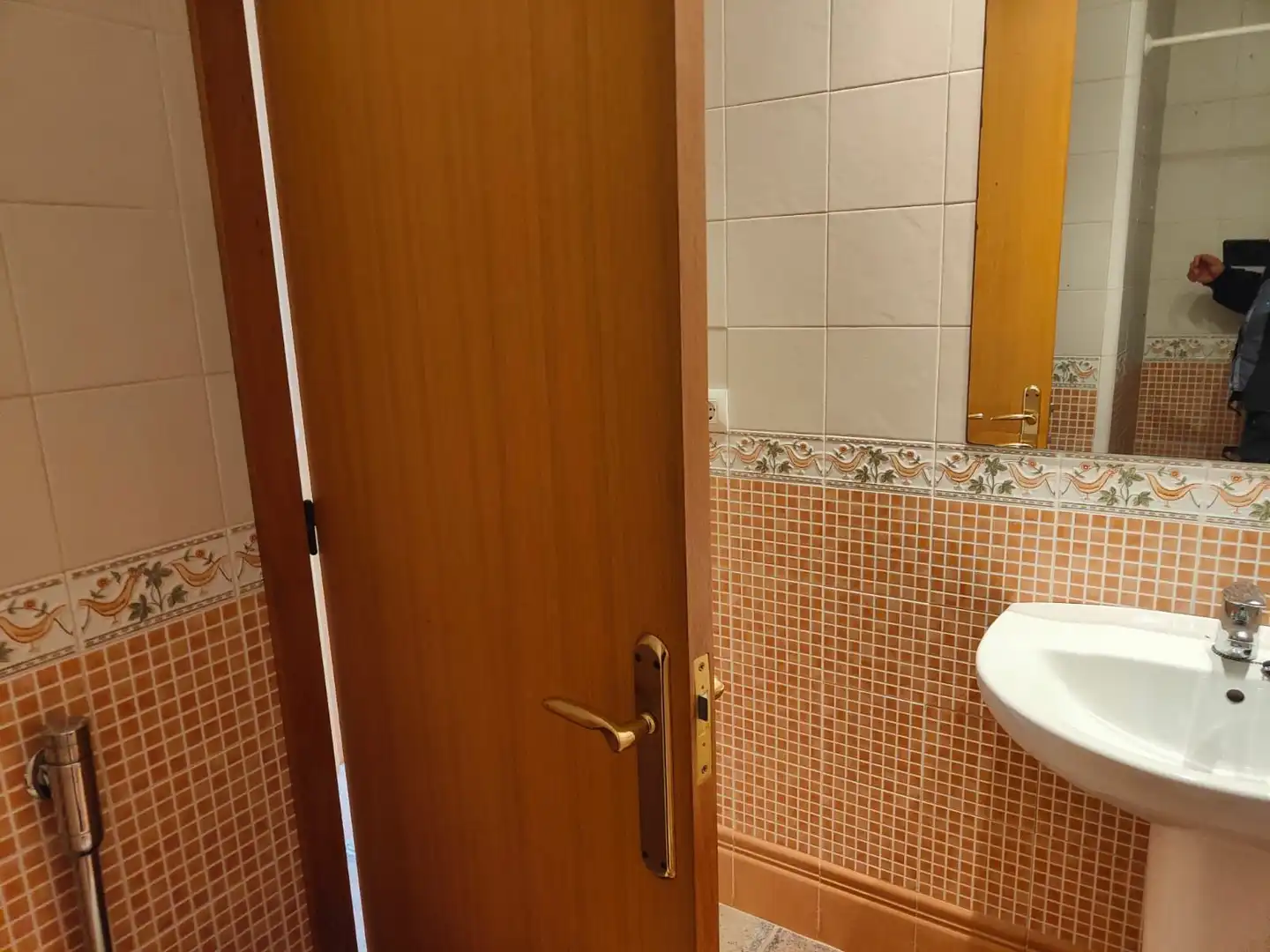 Bathroom of Buildings for sale in Sant Aniol de Finestres