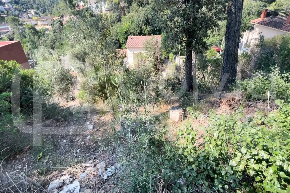 Lands and plots for sale in Carrer de l'Eucaliptus, imagen 7