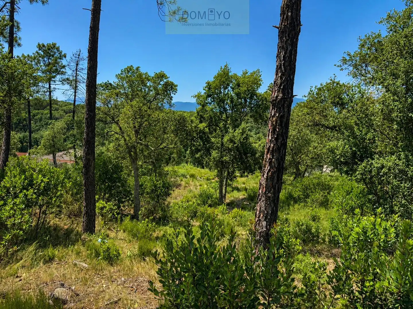 Terrenos y solares en venta en Puig de les Cadiretes, imagen 2