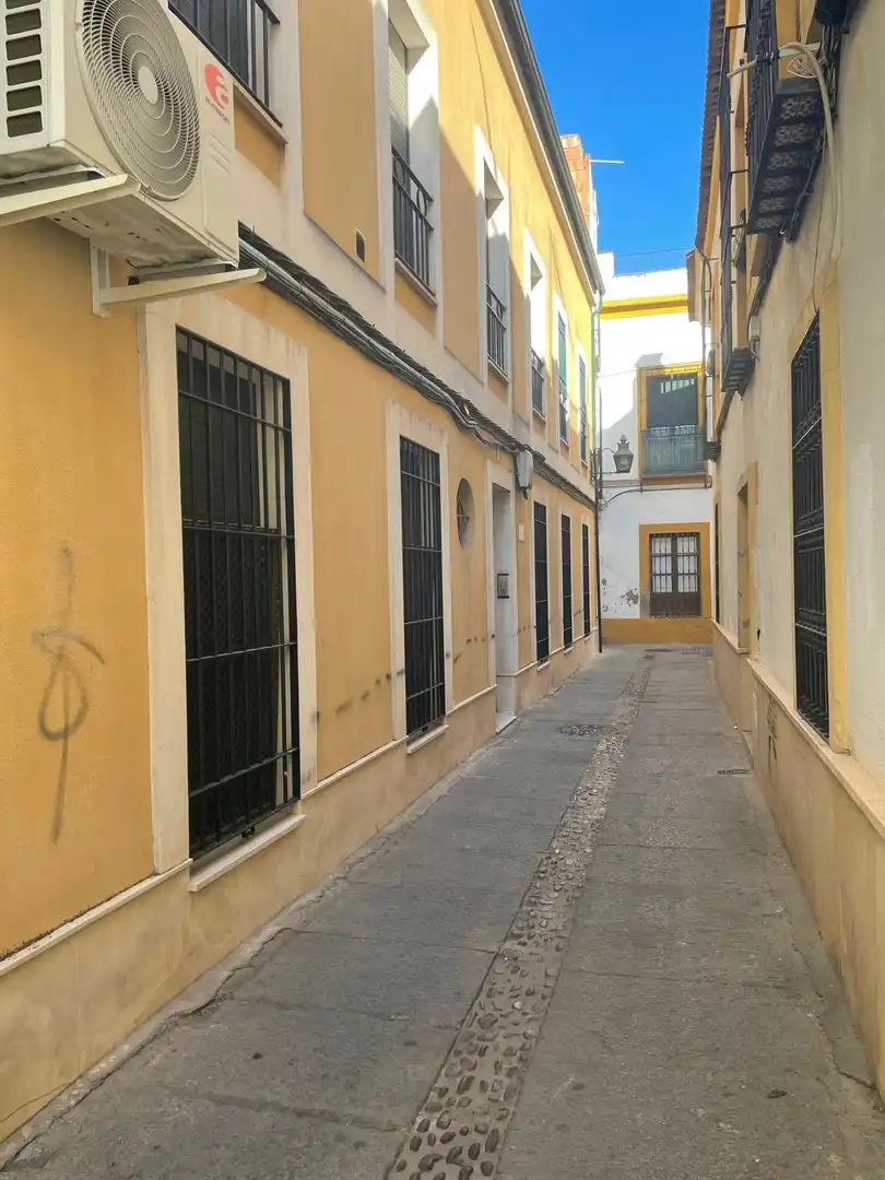 Pis de lloguer a Centro, imagen 22