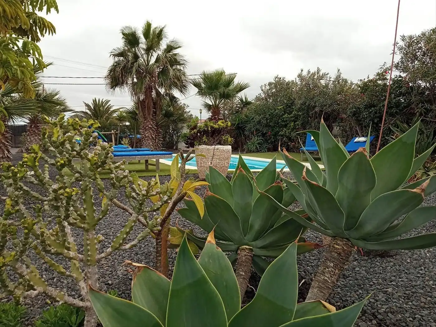 Casa con jardín en venta en Calle Central 36, imagen 4