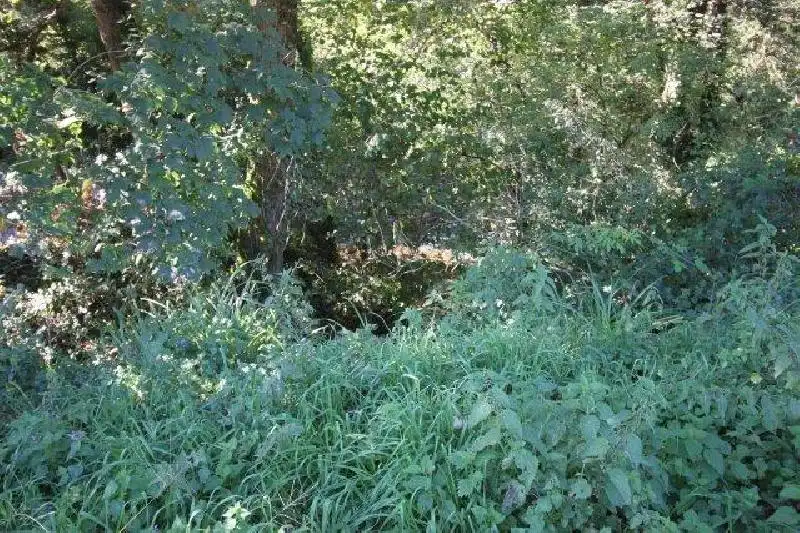 Terreni e lotti in vendita a Riotuerto, imagen 18