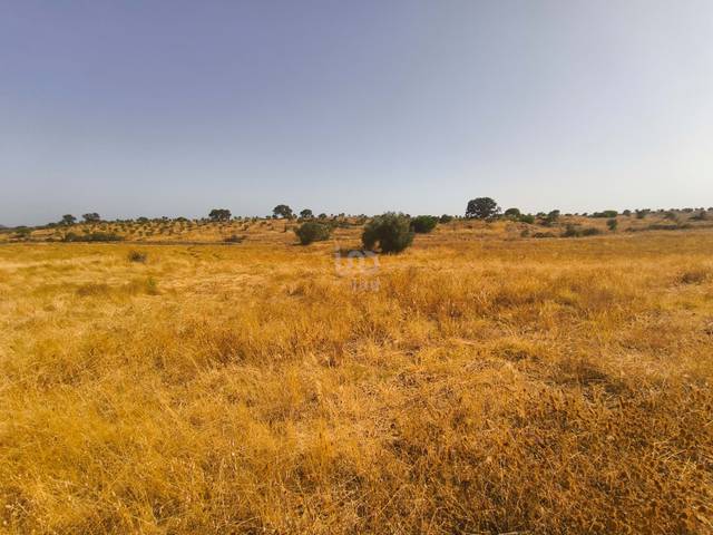 Terreno residencial en Venta en Villablanca